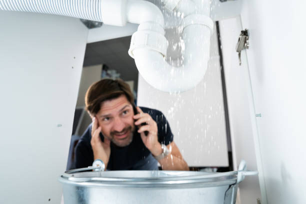 Best Best Plumbers Near Me  in Pender, NE