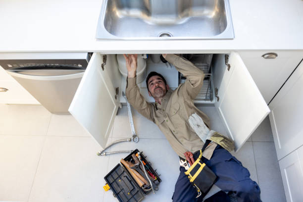 Best Commercial Plumbing Services  in Pender, NE