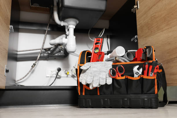 Best Residential Plumbing Services  in Pender, NE