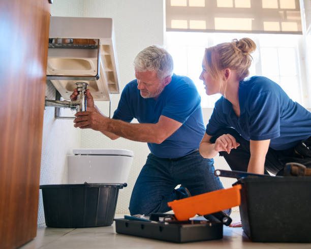Best Plumbing Services Near Me  in Pender, NE